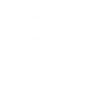 Paintbycanvas Logo
